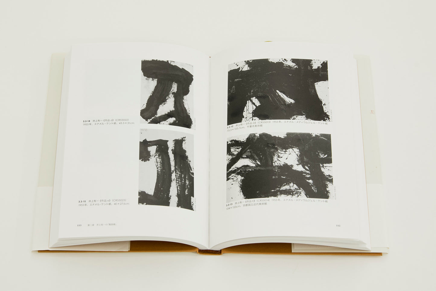 向井晃子：戦後前衛書に見る書のモダニズム　「日本近代美術」を周縁から問い直す