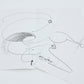 【エディション番号入り】Takehito Koganezawa ZINE「MIND TOPOGRAHY」